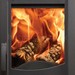 Dovre Astroline 1CBW Contemporary Wood Burning Stove