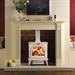 Stovax Huntingdon 30 Multifuel / Wood Burning Stove