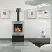 Gazco Riva Nemos Balanced Flue Gas Stove