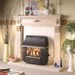Valor Black Beauty Unigas Balanced Flue Gas Fire