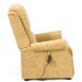 Restwell Chicago Electric Rise & Recliner Chair