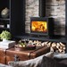 Hunter Herald 5 Slimline Multi-Fuel Stove