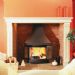 Nordpeis N25 Woodburning Fireplace Stove