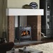Vermont Castings Encore Multi-Fuel Stove