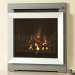 Verine Expression Inset Gas Fire
