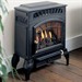 Burley Esteem 4221 Flueless Gas Stove