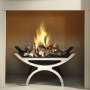 Pulse Basket & Gas Fire
