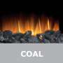 Coal