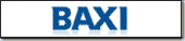Baxi Gas Fires