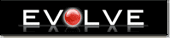 Evolve Discounted Fireplaces & Fires