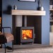 FireFX Eton Wood Burning Stove