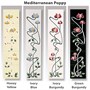 Mediterranean Poppy
