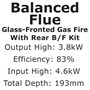 Integra Balanced Flue (Manual)
