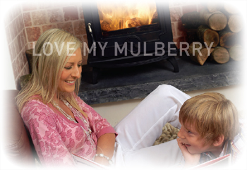 Love my Mulberry Multifuel Stove