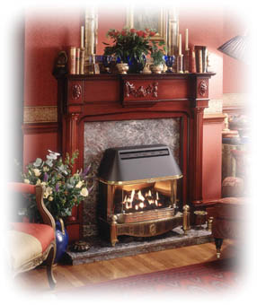 View our range of Baxi Fires